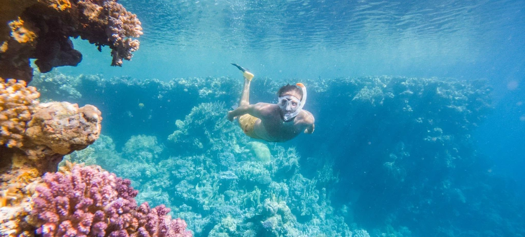 Snorkeling Tour to Tiran Island 